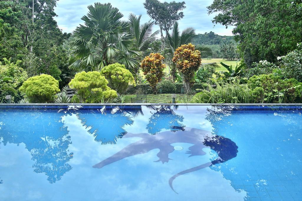 Lazy Lizard Hotel Галле Экстерьер фото