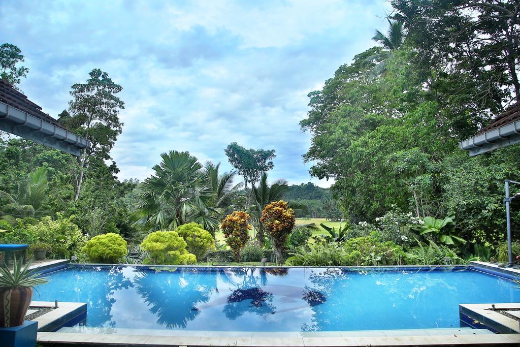Lazy Lizard Hotel Галле Экстерьер фото