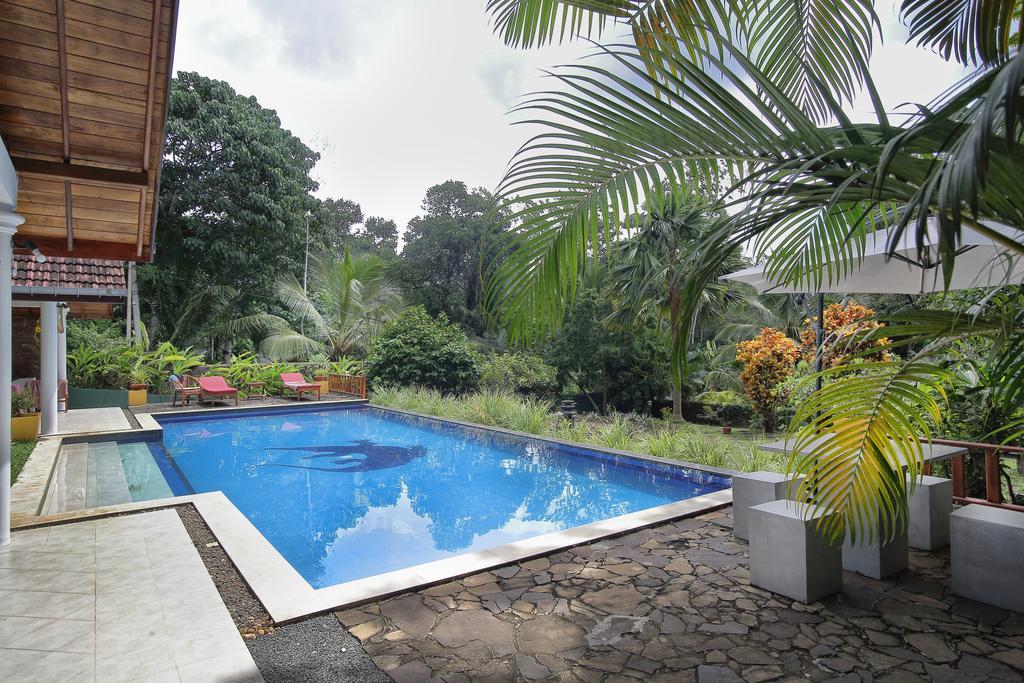Lazy Lizard Hotel Галле Экстерьер фото